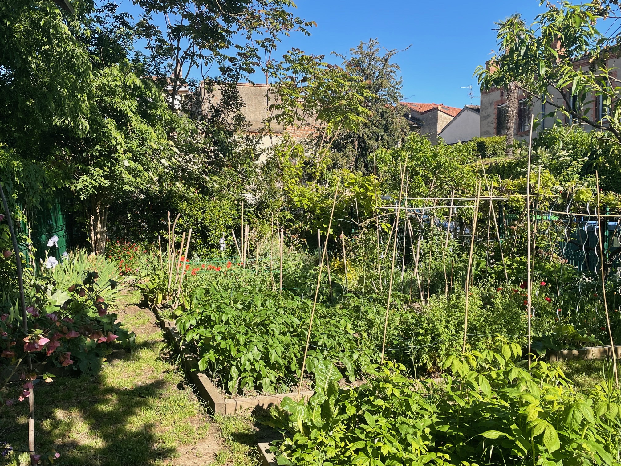 Fête du printemps samedi 17 mai à partir de 11h00
