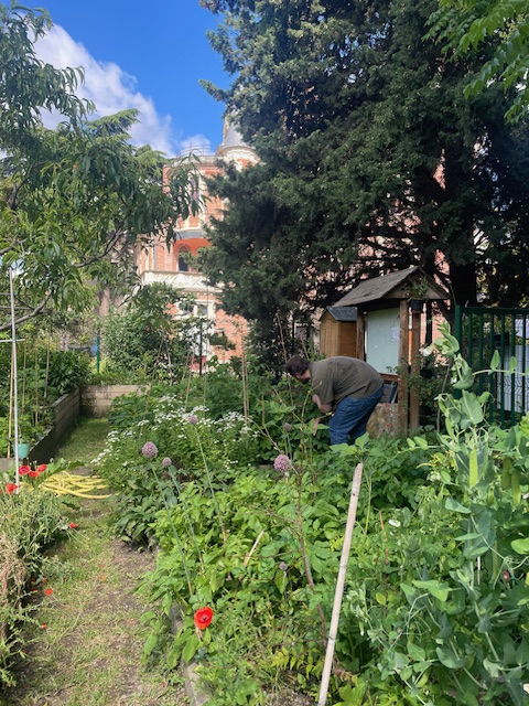 Portes ouvertes au jardin du Verrier dimanche 5 octobre
