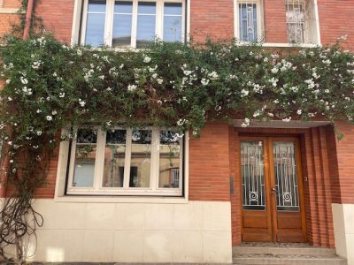 Déploiement du dispositif Des fleurs sur mon mur rue de la Balance