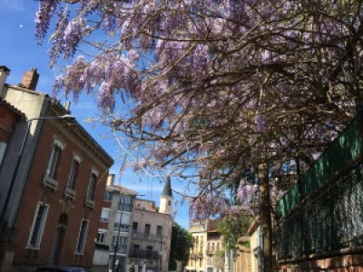 Municipales : que proposent les candidats pour notre quartier?